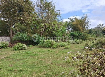 Tanah Kavling Kutuh Pandawa – Siap Bangun Villa di Kawasan Tenang & Berkembang