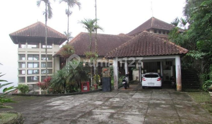 Exclusive Bali Camp in the Heart of Baturiti - 27,500 m² of Unlimited Potential