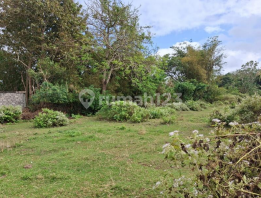 Tanah Kavling Kutuh Pandawa - Siap Bangun Villa di Kawasan Tenang & Berkembang Tanah Kavling Kutuh Pandawa - Siap Bangun Villa di Kawasan Tenang & Berkembang