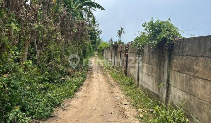 Tanah Luas Strategis di Gerokgak – Cocok untuk Perumahan Dekat Pantai & Fasilitas Umum