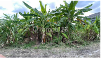 Tanah Kavling SHM di Singapadu Sukawati - Lokasi Strategis, Siap Bangun di Kawasan Perumahan Tanah Kavling SHM di Singapadu Sukawati - Lokasi Strategis, Siap Bangun di Kawasan Perumahan