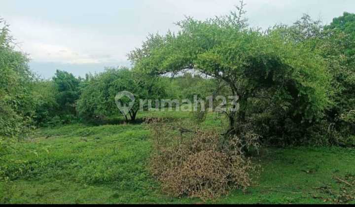 Land With Sea View At Pandawa – 2.34 Hectares, Tourism Zone, Ready to Lease for 25 Years