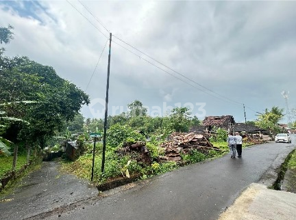 Lahan Siap Produksi di Kediri-Tabanan – Lokasi Prima & SHM Lengkap
