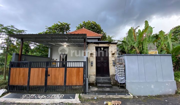 Rumah Nyaman Di Bitra Gianyar Dekat Pusat Kota Dan Pantai