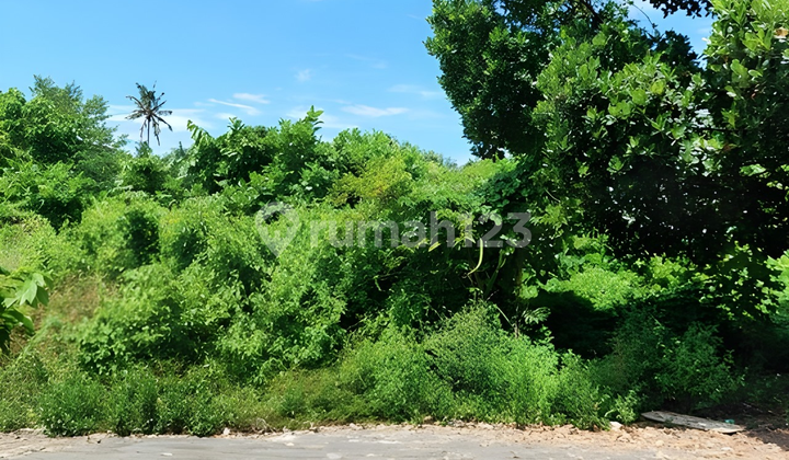 Tanah Kavling Strategis di Jl. Achmad Yani Karangasem – Cocok untuk Investasi & Hunian