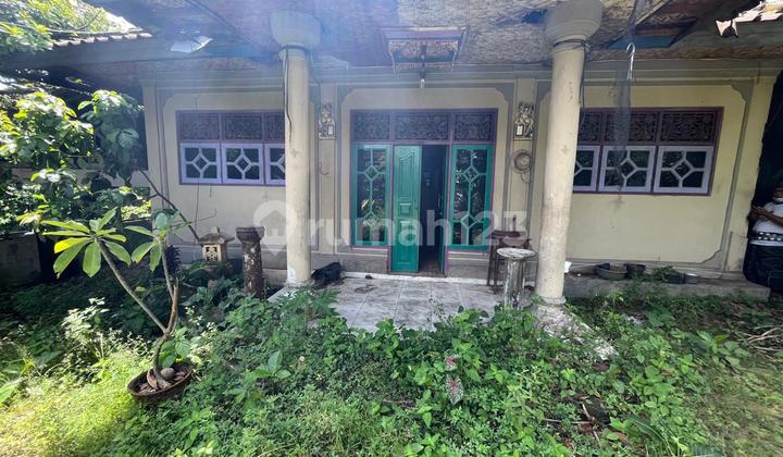 Tanah Strategis di Gatsu Barat - Bonus Luas, Akses Jalan Lebar, Potensi Nilai Tinggi