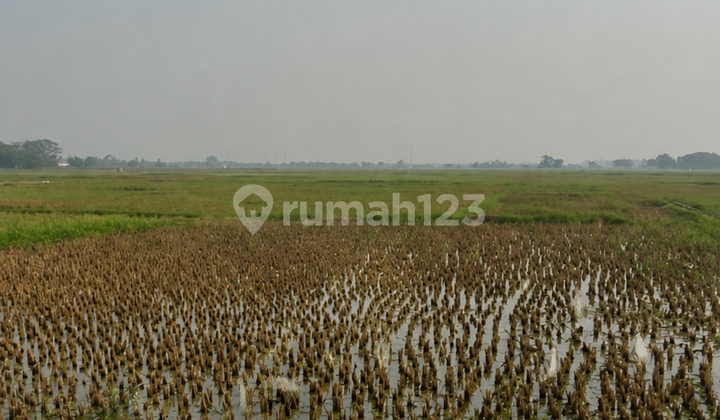 Dijual Lahan Zona Industri Kab Tangerang Dijual Lahan Zona Industri Kab Tangerang