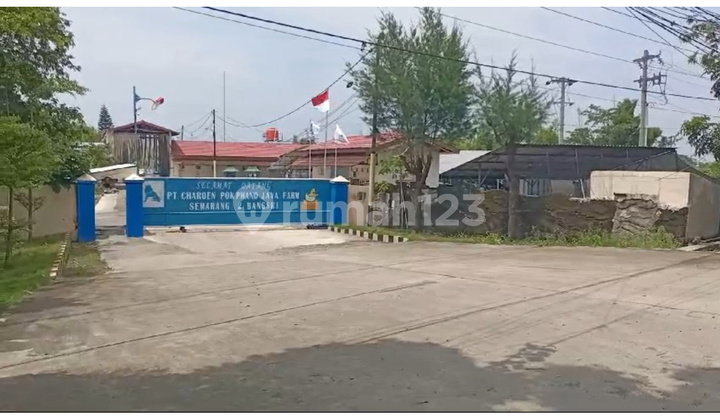 Kavling Untuk Industri Uk 8747m Brebes Depan Jln Raya Jawa Tengah Luas 8747 Turun Harga Nego Sampai Jadi