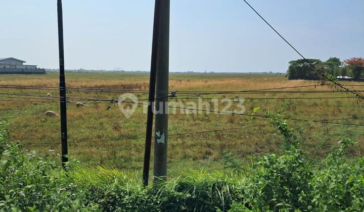 Kavling Untuk Industri Uk 8747m Brebes Depan Jln Raya Jawa Tengah Luas 8747 Turun Harga Nego Sampai Jadi