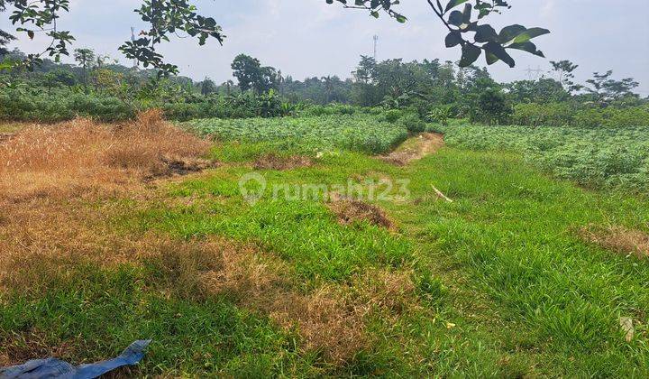 Dijual Tanah 2 Ha Di Sukahati Citereup, Cibonong  1