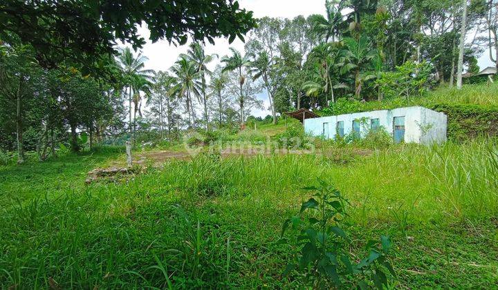 Dijual Tanah Di Pasir Kuda, Bogor 1