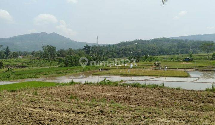 Dijual Tanah 10ha Di Pabuaran, Bogor 2