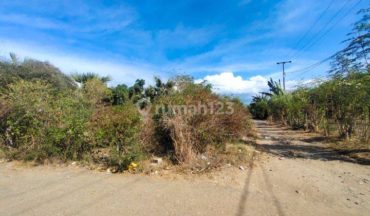 Dijual Tanah Di Labuan Bajo 1