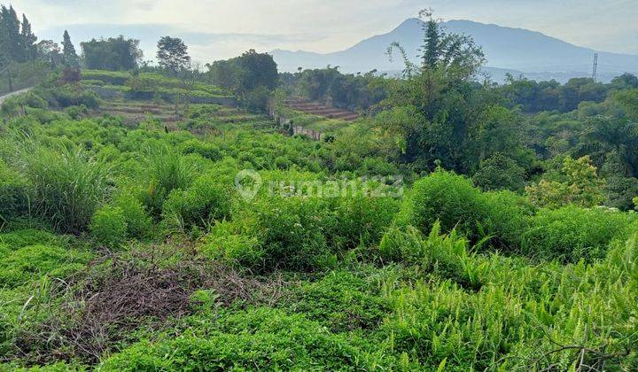 Dijual Tanah 1 Hectar View Gunung, Lokasi Desa Gunung Geulis Jl Lodaya 1