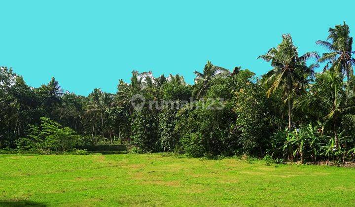Kavling 6 Menit Rs Nyi Ageng Serang Dibawah 100jt ,lahan Datar 3