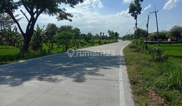  Dijual Tanah Sawah Mangku Jalan Aspal Caruban Madiun 3
