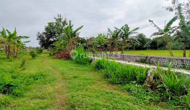 Kavling Tanah Murah 1 Jutaan, Dekat Terminal Madiun Kota 3
