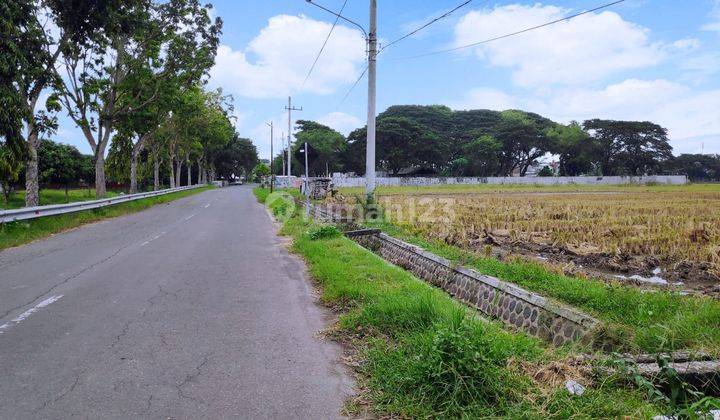 Tanah Kavling Tepi Jl Aspal Manguharjo 120 M², 850 M Kampus Ppi 4