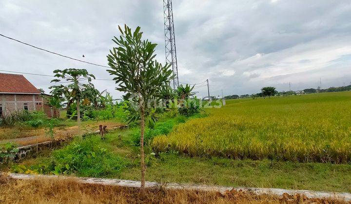  Tanah Kavling Murah Tawangrejo Kota Madiun, SHM 3