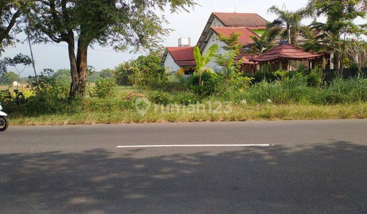 Dijual Murah Tanah Pinggir Raya Takeran Magetan 1