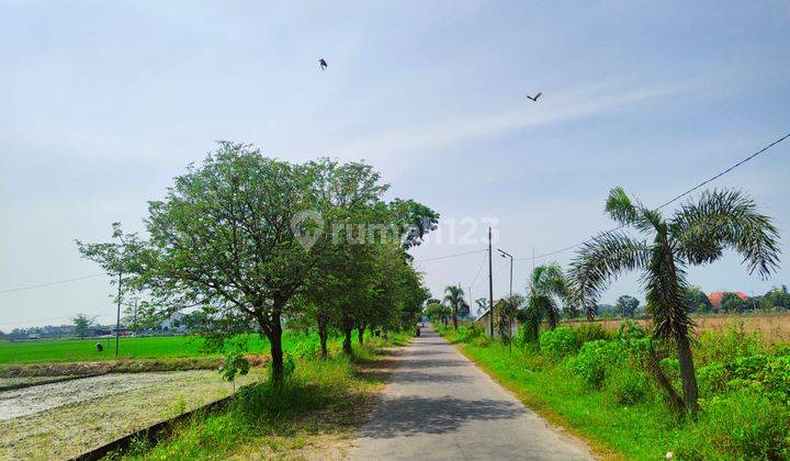 Dijual Tanah Murah, Legalitas SHM 300m Jl. Raya Madiun nganjuk 4