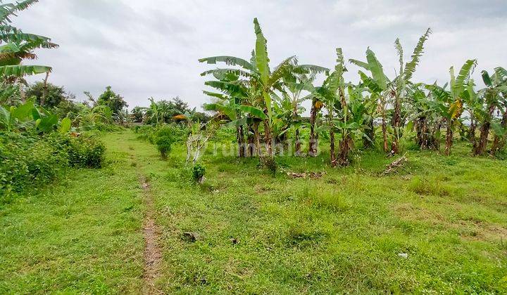 Dijual Tanah Shm, Include Fasum Jalan, Dekat Terminal Madiun 3