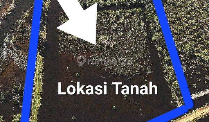Tanah Tambak Akan Menjadi Kawasan Premium Industri Bengkulu 1