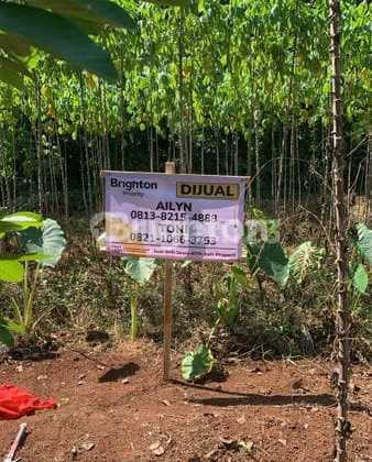 300m² Plot of Land Near SMAN 10 Bojong Sari Depok, West Java 300m² Plot of Land Near SMAN 10 Bojong Sari Depok, West Java