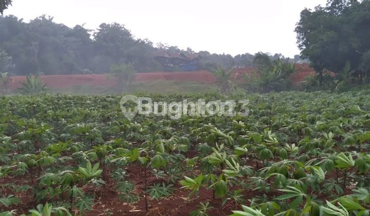 LAND PLOT IN BOJONGSARI, DEPOK, WEST JAVA LAND PLOT IN BOJONGSARI, DEPOK, WEST JAVA