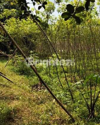 300m² Plot of Land Near SMAN 10 Bojong Sari Depok, West Java 300m² Plot of Land Near SMAN 10 Bojong Sari Depok, West Java