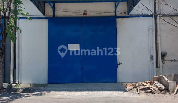 For Rent Warehouse Mutiara Tambak Langon For Rent Warehouse Mutiara Tambak Langon