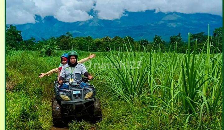 DIJUAL TEMPAT USAHA WISATA RESORT KEBUN PAK BUDI DI KOTA PURWOSARI PASURUAN 2