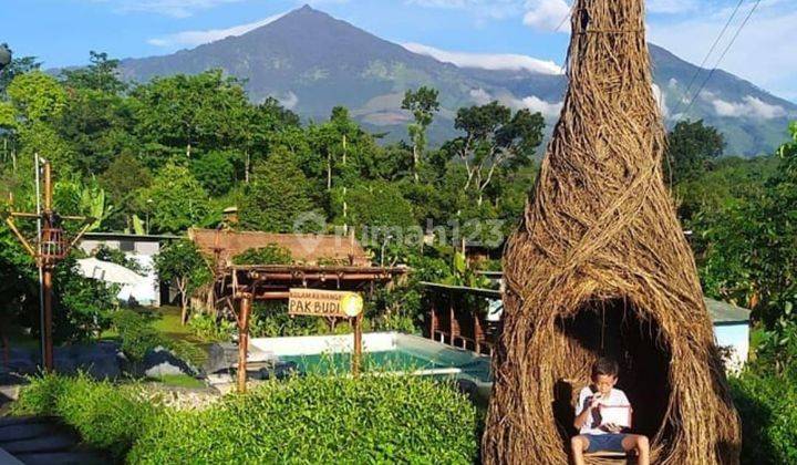 DIJUAL TEMPAT USAHA WISATA RESORT KEBUN PAK BUDI DI KOTA PURWOSARI PASURUAN 1