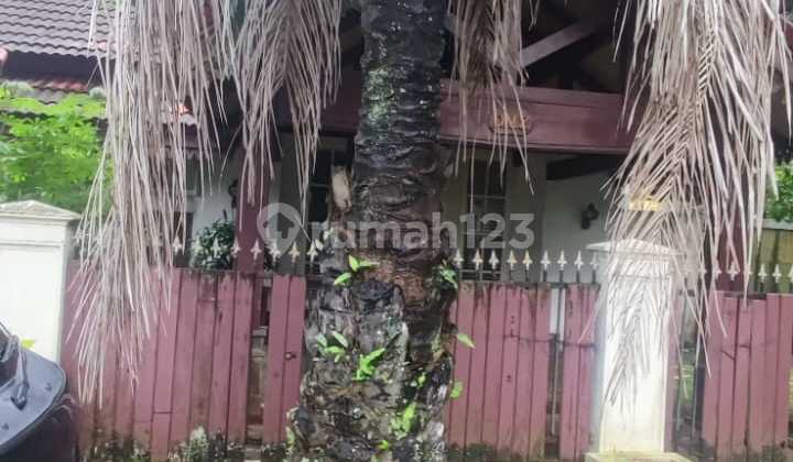 Jual Cepat Rumah di Loka Indah Buncit Dibawah NJOP.