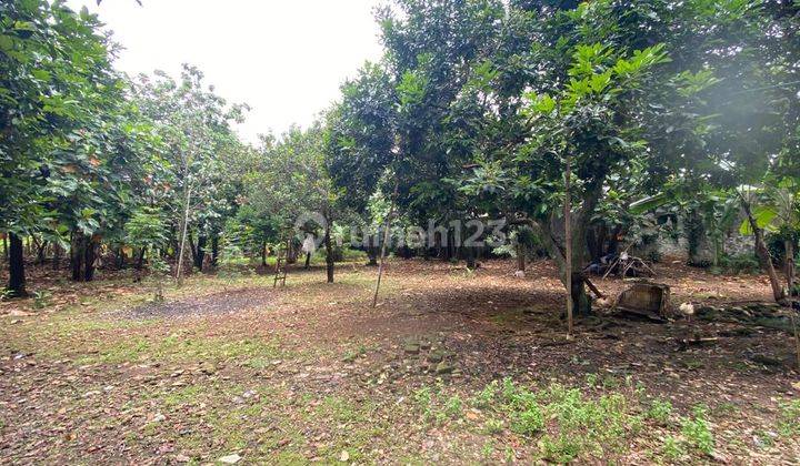 Tanah Murah Lokasi Super Strategis Dekat Ke Mrt Lebak Bulus 2