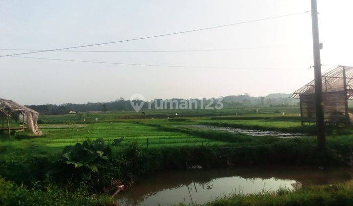 Jual tanah sawah pinggir jalan dibelakang pasar limbangan boja kendal 1