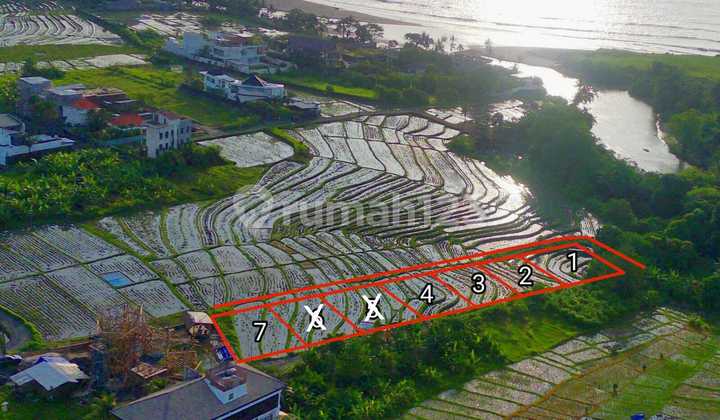 DIJUAL TANAH KAVLING LINGKUNGAN VILLA VIEW SAWAH PANTAI CEMAGI BALI