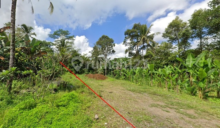 For sale, 12 are of land with SHM certificate on Payangan Bukian Street, Ubud. For sale, 12 are of land with SHM certificate on Payangan Bukian Street, Ubud.