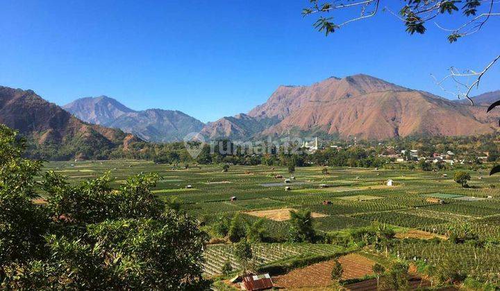 Di Jual Tanah Bukit View Terindah Sembalun Lombok 2