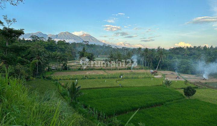 Di Jual Tanah Untuk Villa Dan Cottage Batukliang Lombok Tengah 1