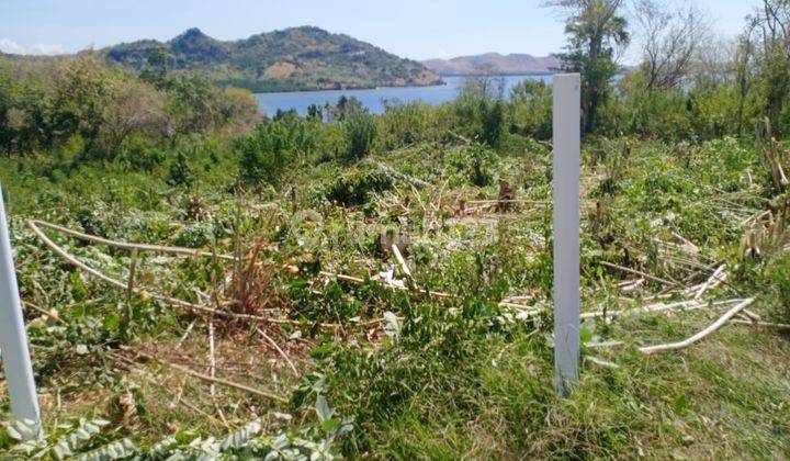 Di jual tanah di lokasi strategis labuan bajo 2