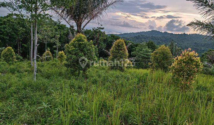 Di jual tanah  view alam murah strategis dan negosible 1