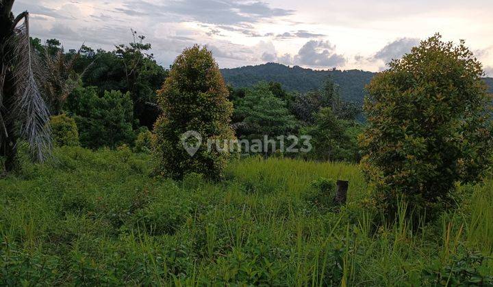 Di jual tanah  view alam murah strategis dan negosible 2