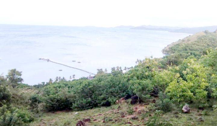 Di jual tanah investasi  benteng dewa di labuan bajo 2