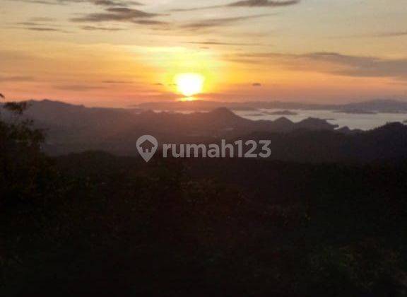 Di jual Tanah pertanian punya view bagus negosible dan strategis 2