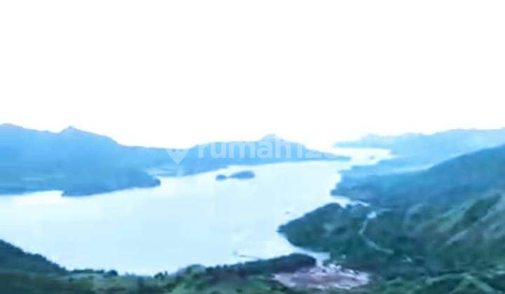 Di Jual Tanah View Laut Tertinggi Murah dan Strategis Tanah Mori Di Jual Tanah View Laut Tertinggi Murah dan Strategis Tanah Mori