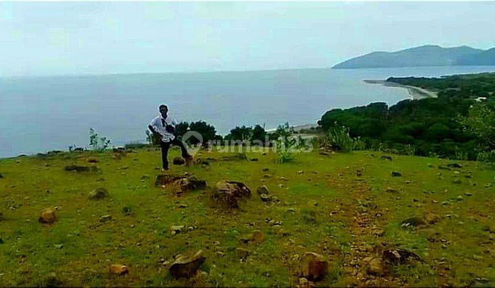 Di Jual Tanah Murah  Benteng Dewa View Laut Lembor Labuan Bajo 2