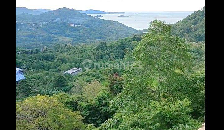 DI JUAL TANAH VIEW KOTA LABUAN BAJO LANGSUNG VIEW LAUT 2