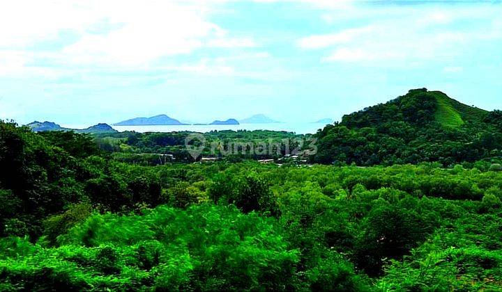 Di jual tanah untuk villa, view laut kota labuan bajo 2