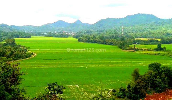 Di jual murah tanah view sawah, strategis dan negosible 1